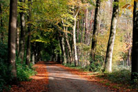 Herfst in Hertsberge