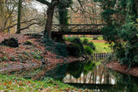 Bulskampveld